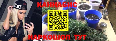 дмт Кимры
