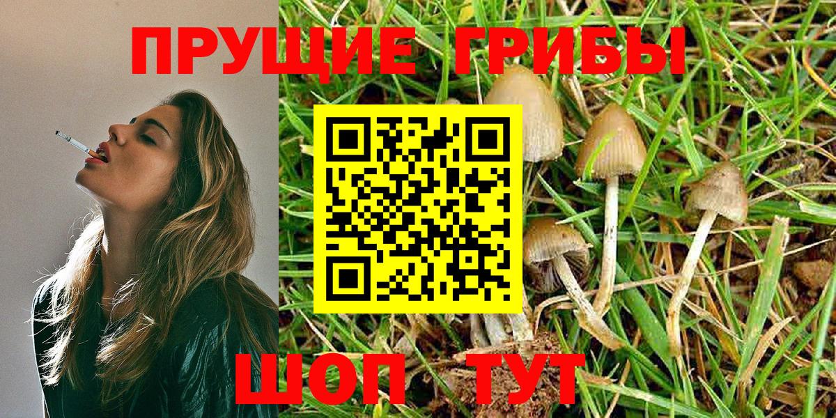 Кемерово  Псилоцибиновые грибы ЛСД  Вход с VPN 